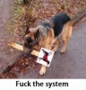 fuck the system