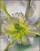 georgia o keeffe