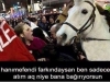 sadece zenginlerin atı olması / #1570867