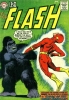 the flash / #1169083