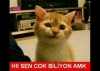 atatürk ün dişe dokunur hiç bir savaş kazanamaması / #1103448