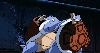 blastoise / #1023295