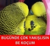çok yakışıklı olduğunu anladığın an / #1024829