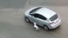antalya da köpeğe işkence yapan şerefsiz / #2110674