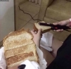 ekmek kızartmak