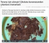 nutella nın içinden kemik çıkması / #1574155