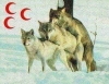 milliyetçiliğe hakaret partisi / #1734186