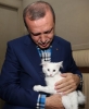 recep tayyip erdoğan / #1292749