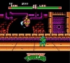 teenage mutant ninja turtles tournament fighters