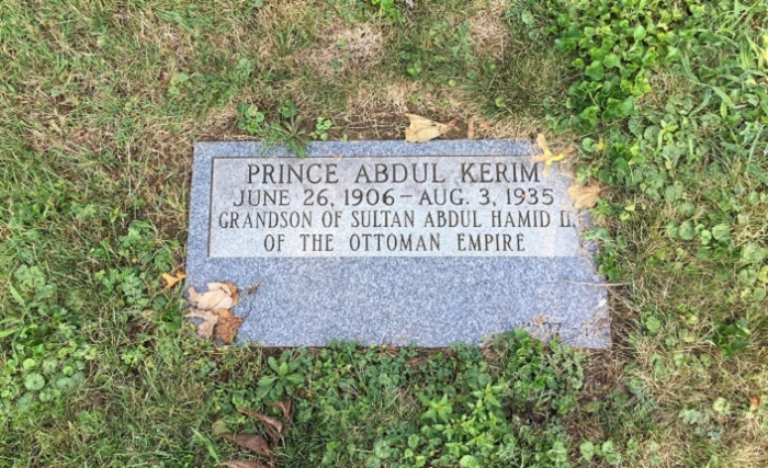 abdülhamid in türkistan imparatoru torunu