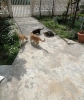 anın görüntüsü / #2301336