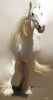 beyaz atın temsil ettiği şey