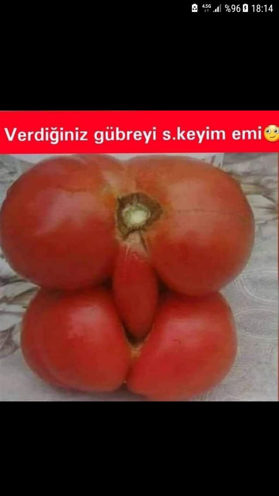 Cinsel organa benzeyen meyveler