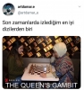 the queen s gambit