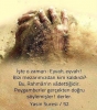 ahiret yoksa ne olacağız sorunsalı / #1778313