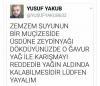 akp lilerin zeka seviyesi / #1453877