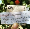 böyle insanların hatırı için dönüyor dünya / #1113052