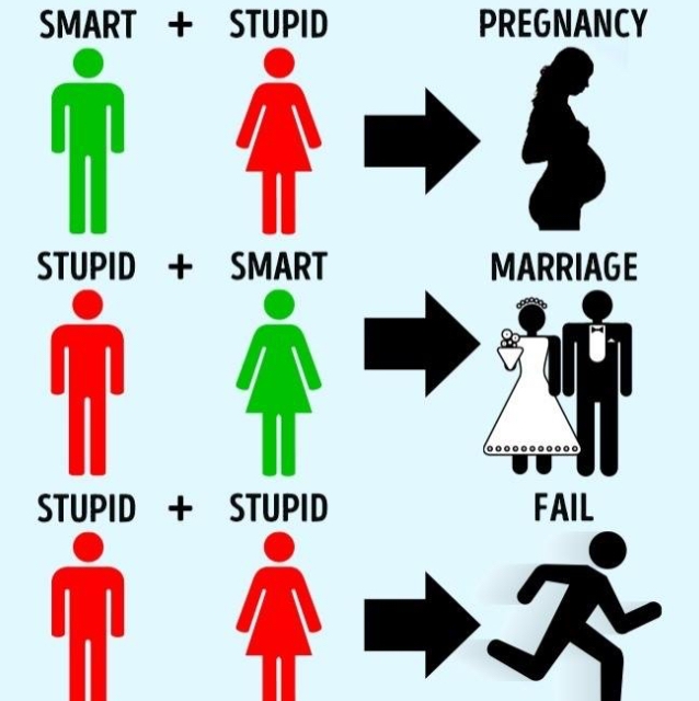 Smart who is. Smart stupid. Stupid is as stupid does.. Clever stupid. Clever stupid картинки.