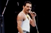 freddie mercury dünyanın en iyi vokalidir / #1458738