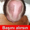 laiklik çok sert bir biçimde uygulansa ne olur / #1351112