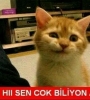 sözlükteki karıların nitelikli entry girmemesi / #1105233