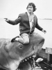 steven spielberg / #2425830