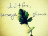 allah belanızı versin layikler / #1573694