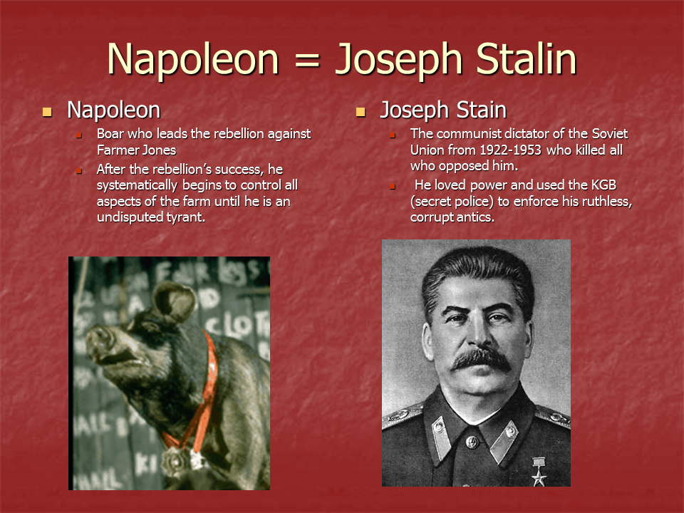 Сталин иосиф виссарионович сколько. Наполеон и Сталин. Joseph Stalin who is Dictator. Who Killed Stalin. Joseph Stalin +json +расшифровка.