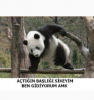 şamdan olması ama vandan olmaması / #1254749