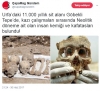 urfa da bulunan 11000 yıllık insan kemikleri / #1466050