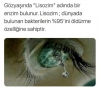 lizozim