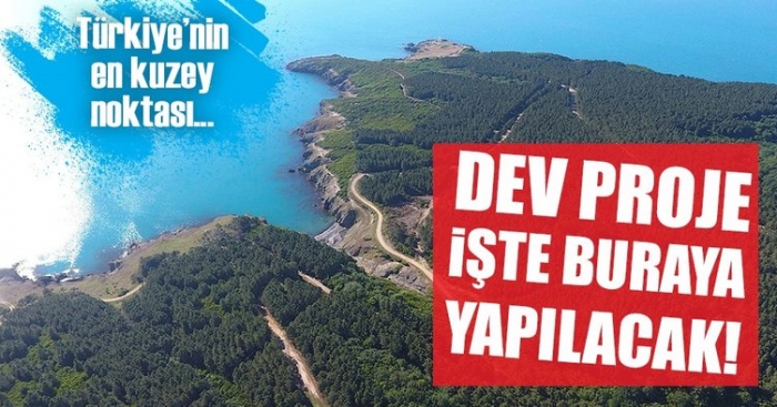 sinop ta nükleer santral için kesilen orman