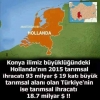 torku milliyetçiliği / #1335442