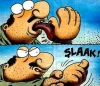 uluslararası hukuk ve hollanda olayı / #1360159