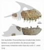kanada da keşfedilen yeni dinozor türü