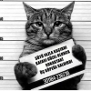 sözlük erkeklerinin fotoğrafları / #1209643