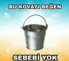 bu kovayı beğenin