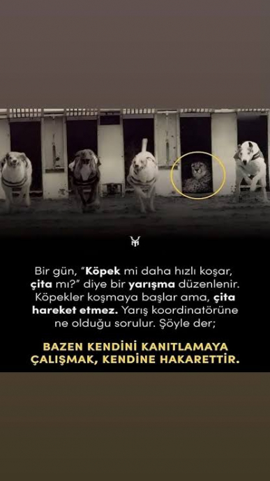 galatasaraylıları kudurtmam