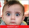 penise supangle sürüp yalayan kız / #1317076