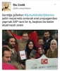 şehitlikte evet propagandası yapmak / #1377195