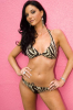 zaklina sojic