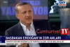 gemi var gemicik var