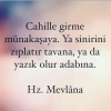 giyecek ayakkabı bulamayan millete şapka dayatmak / #1738735
