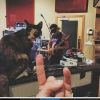 kedi seven erkeklerin ılık olması / #1580311