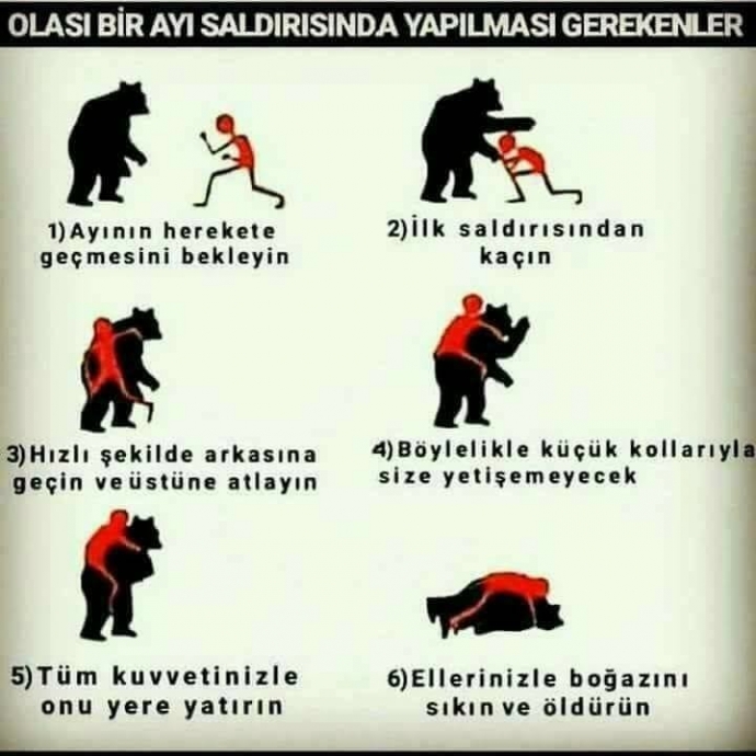 sağlık bakanlığı kitabında ayı saldırısı tavsiyesi