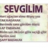 gavs için bir şiir de sen yaz / #1530260