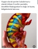 panter bukalemunu / #2317482