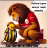 şampiyonluk gitti galatasaray beş yıldızı taktı