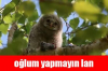 true nun yetkili olması