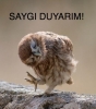 yorganın bu gece yalnız uyumak istiyorum demesi / #2202467